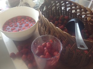 JAHODOVÁ ZMRZLINA: důkladně umyju ty nejpevnější vyzrálé jahody, rozmixuju, krátce povařím s trochou přírodního nerafinovaného cukru nebo stevie 