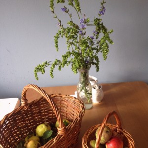 Hrušky, jablka a kytky natrhané na jednom fajn výletě za město.  Foto: Sláma v botách