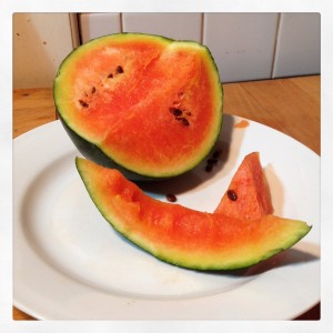 Společně vypěstované melouny - sladké plody tohoto léta u rodičů. Foto: Sláma v botách